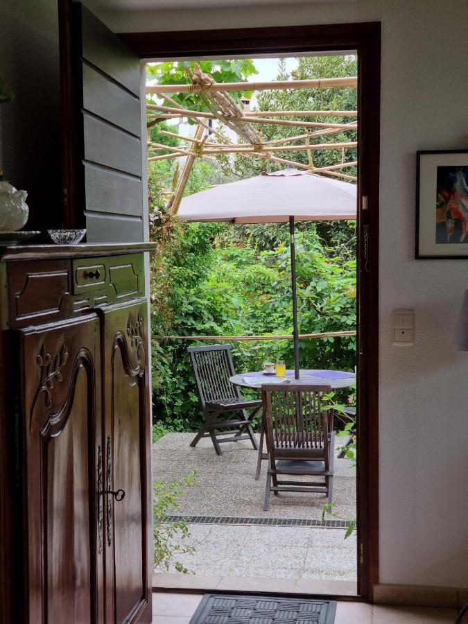 Villa El Correc Laroque-des-Albères Exteriér fotografie